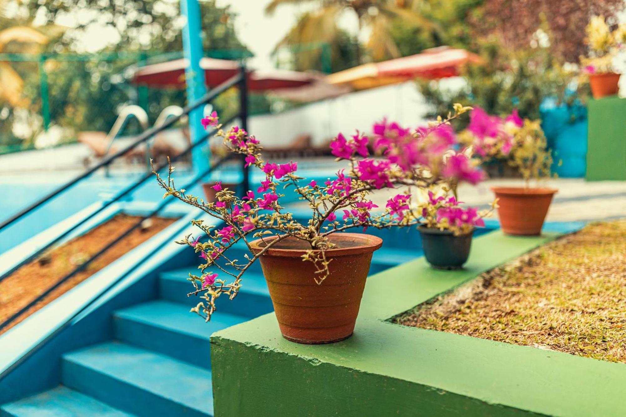 Villa タール エクステリア 写真